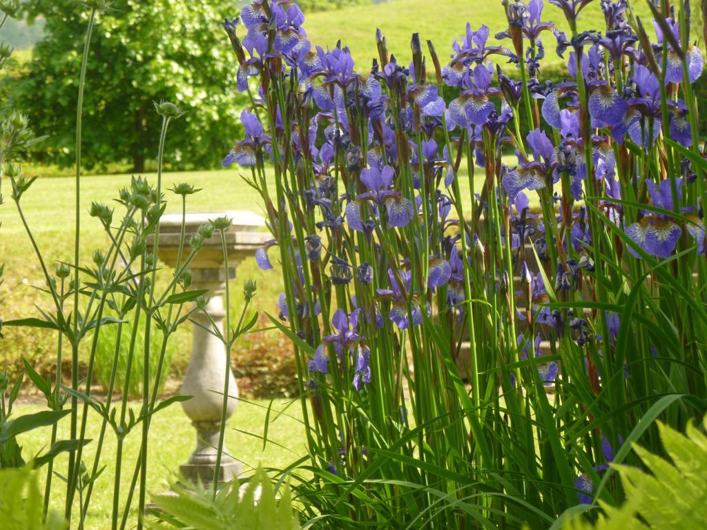 Llwyn Helyg Country House Guest House Кармартън Екстериор снимка